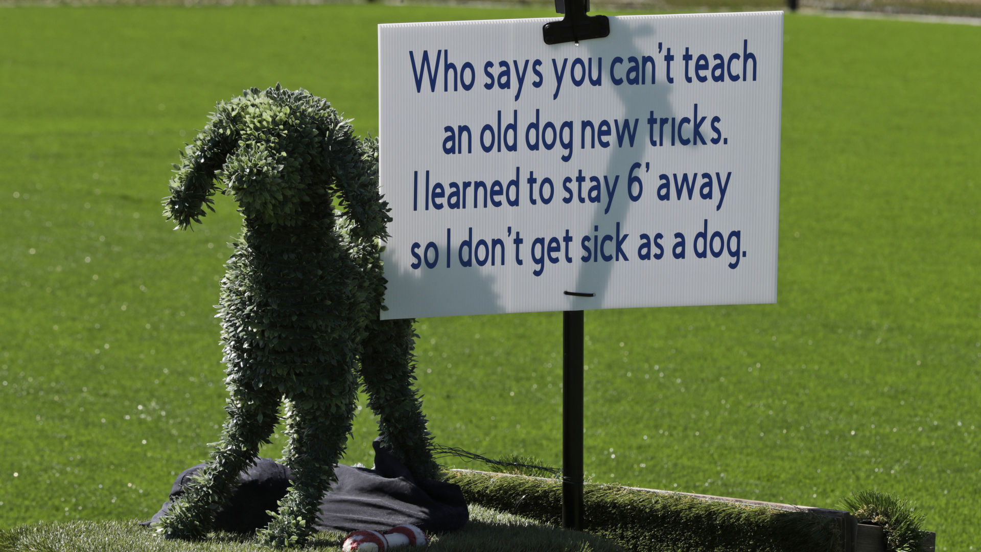Dog sign